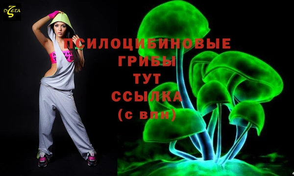 прущие крисы Бородино