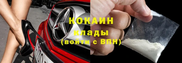 прущие крисы Бородино