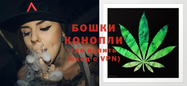 индика Кулебаки