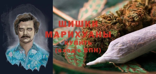 прущие крисы Бородино