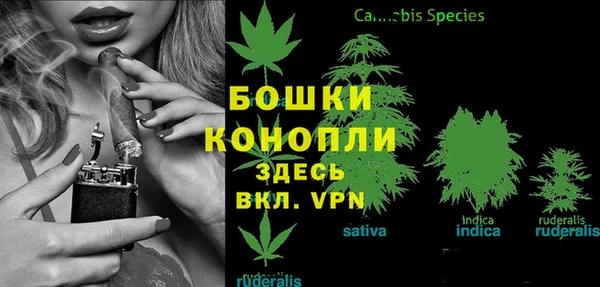 прущие крисы Бородино