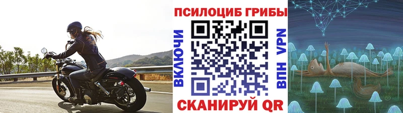 Псилоцибиновые грибы GOLDEN TEACHER  купить закладку  Горнозаводск 