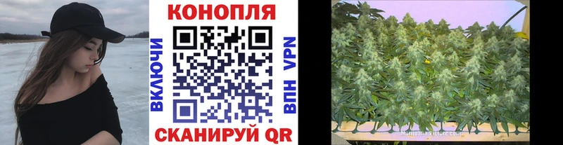 Бошки марихуана марихуана  купить наркотики цена  Горнозаводск 